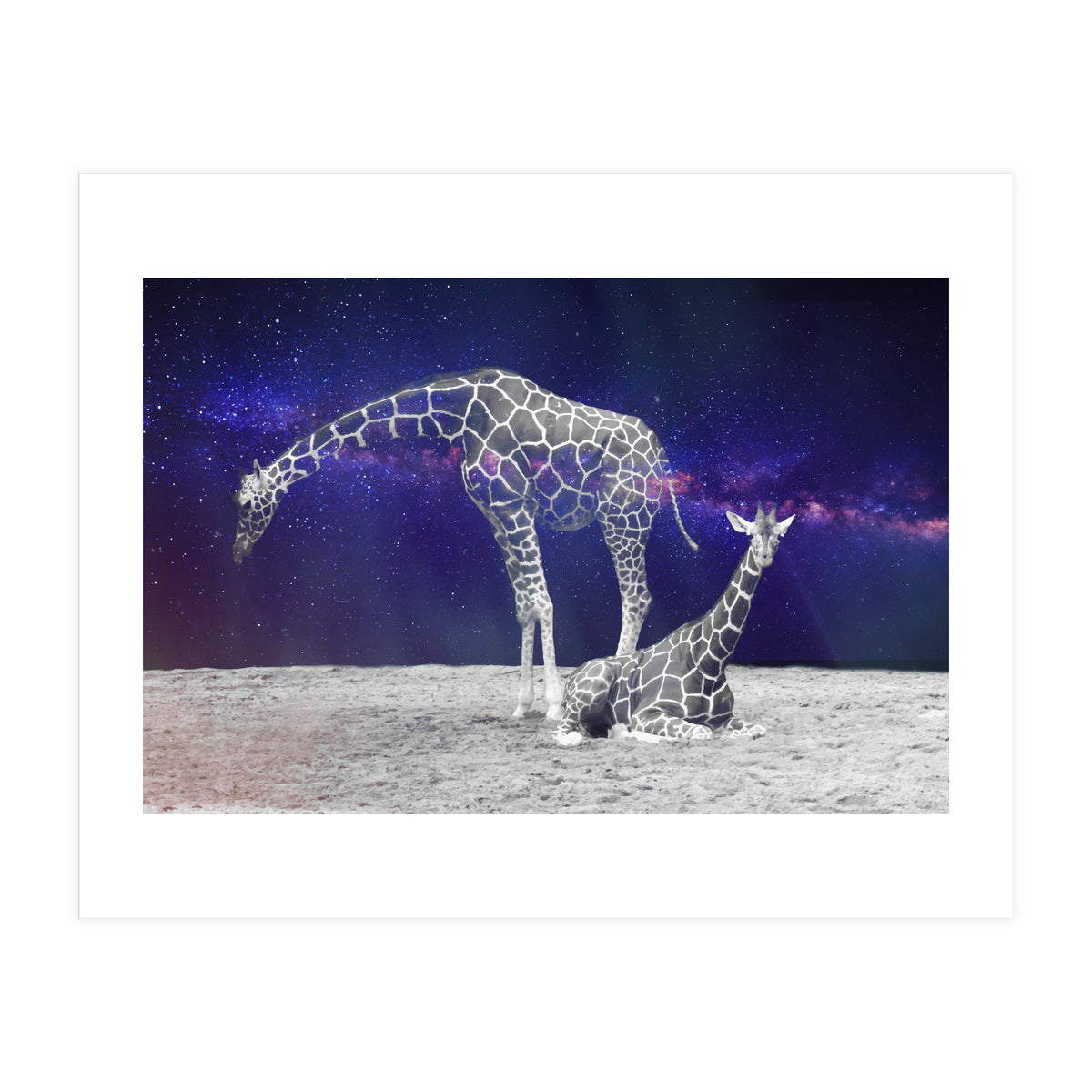 Giraffes on The Moon (Print Only)