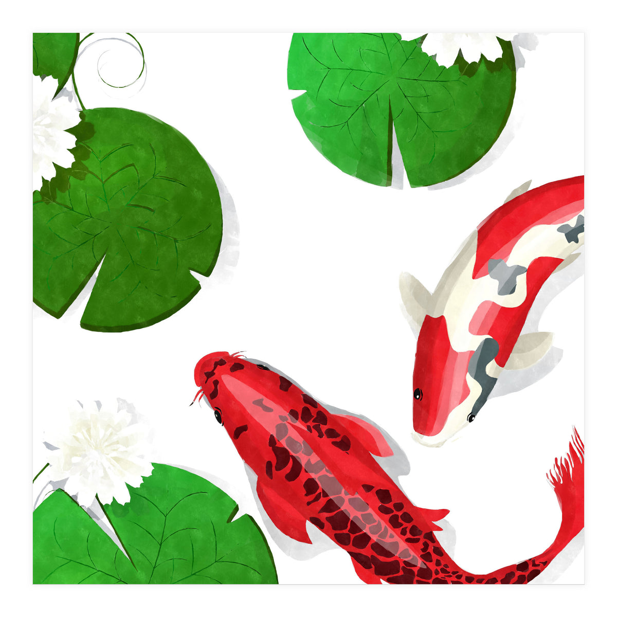 Watercolor Koi Fish (Print Only)