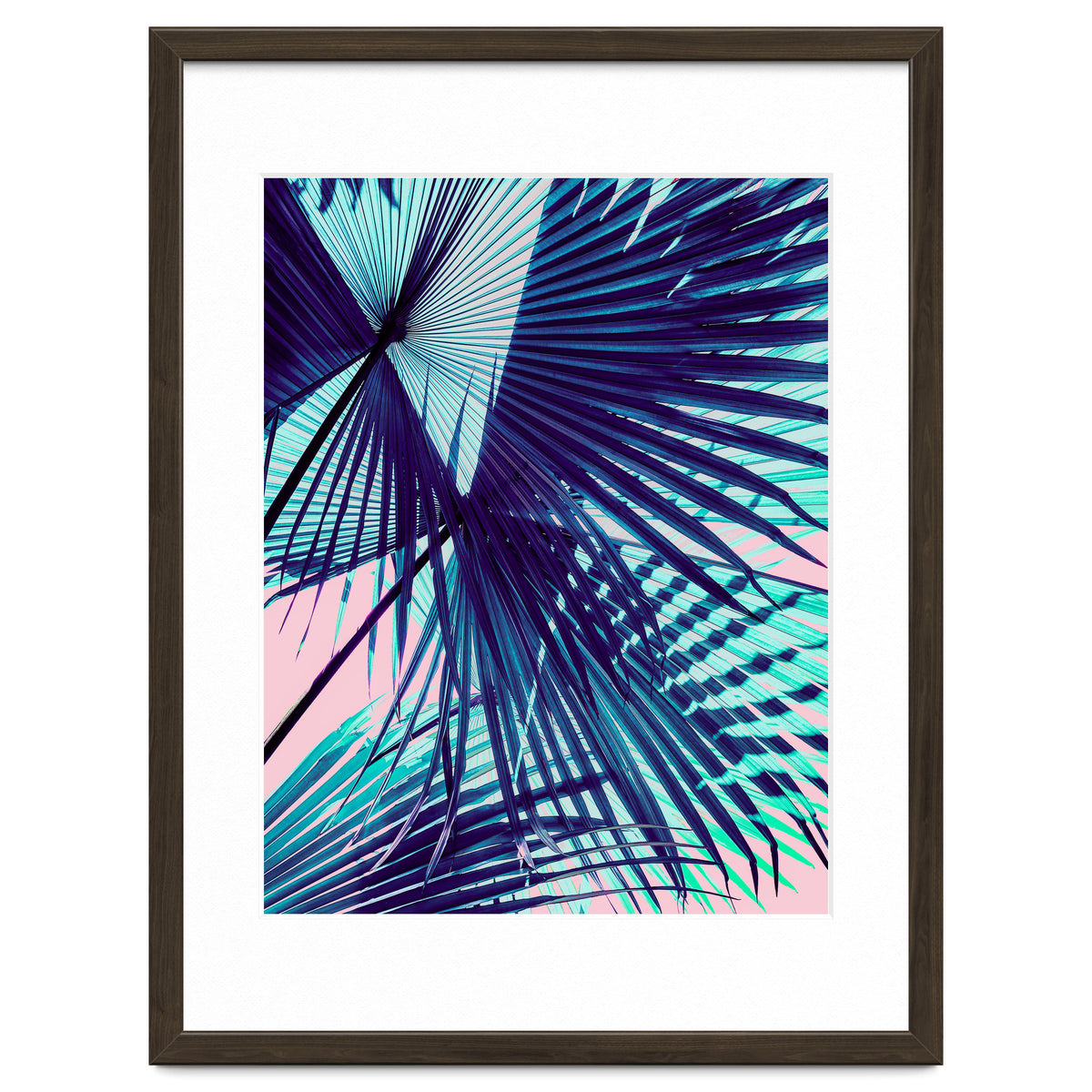 Palm leaf on the beach