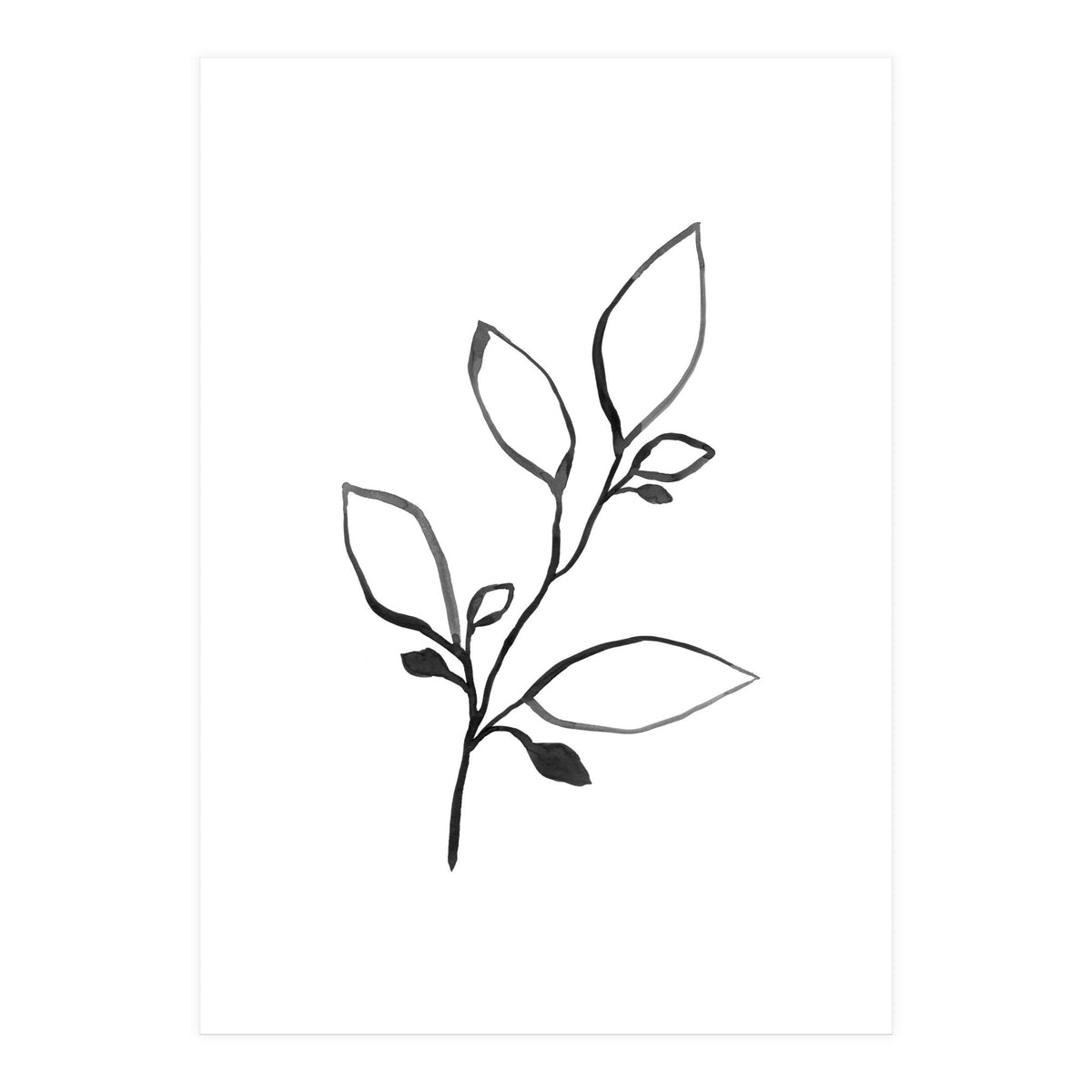Ink Plant (Print Only)