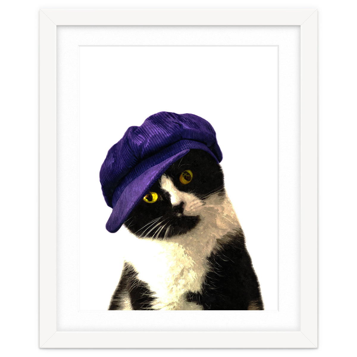 Cat Blue Hat