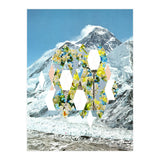 Mountain Flower (Print Only) thumbnail