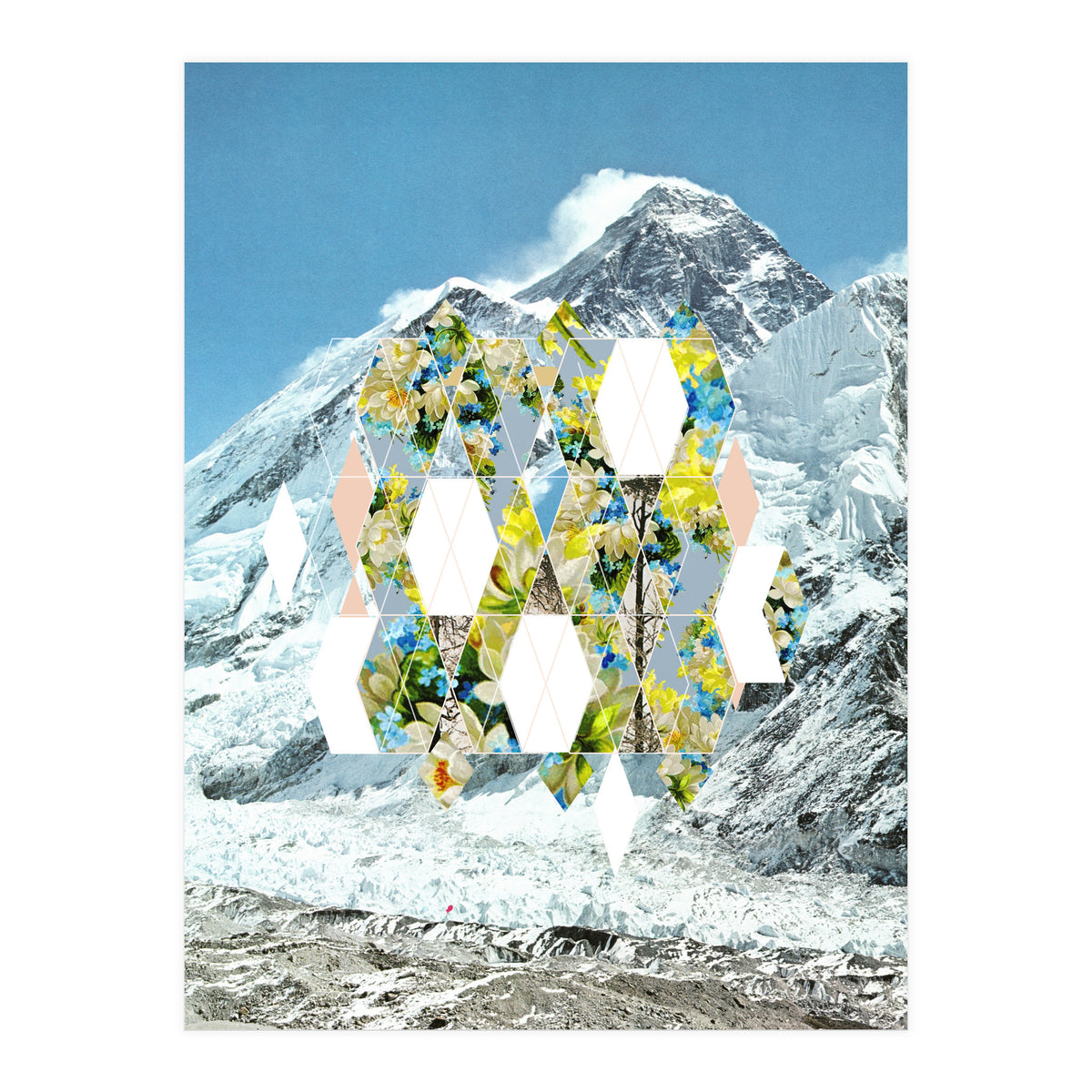 Mountain Flower (Print Only)