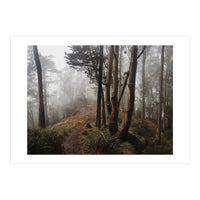 Mt. Davidson I (Print Only)