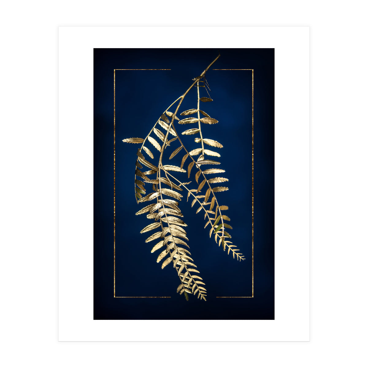 Golden Pepper Tree (Print Only)