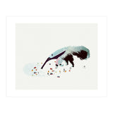 Anteater (Print Only) thumbnail