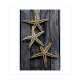 Starfishes in wooden (Print Only) thumbnail