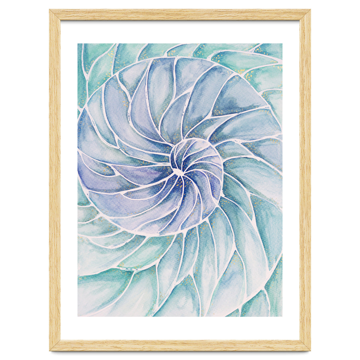 The inside of a shell