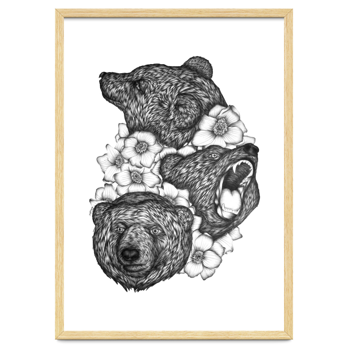 Bears In Bears