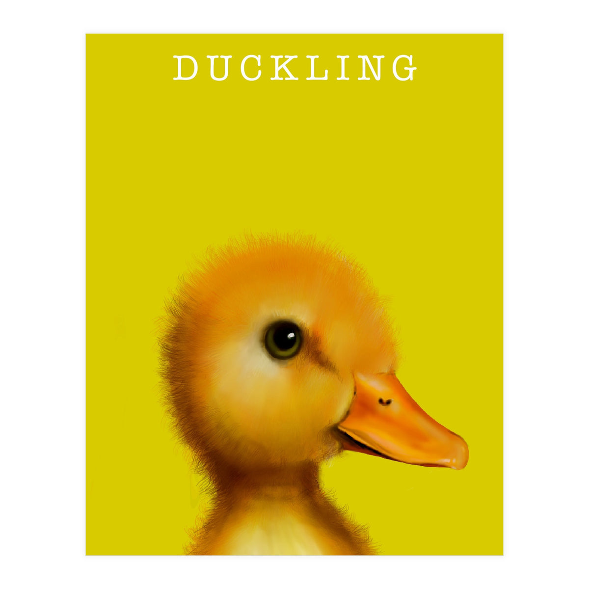 Duckling (Print Only)