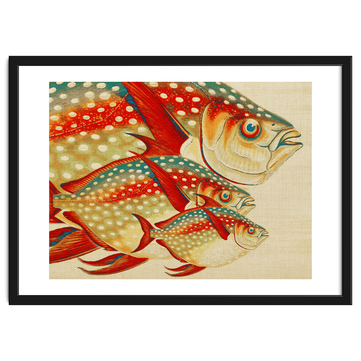 Fish Classic Designs 1