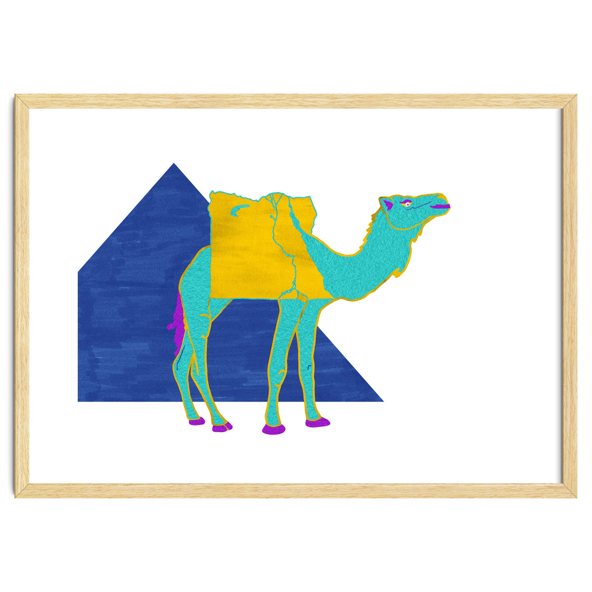 Egyptian Dromedary