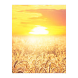 Nature (Print Only) thumbnail