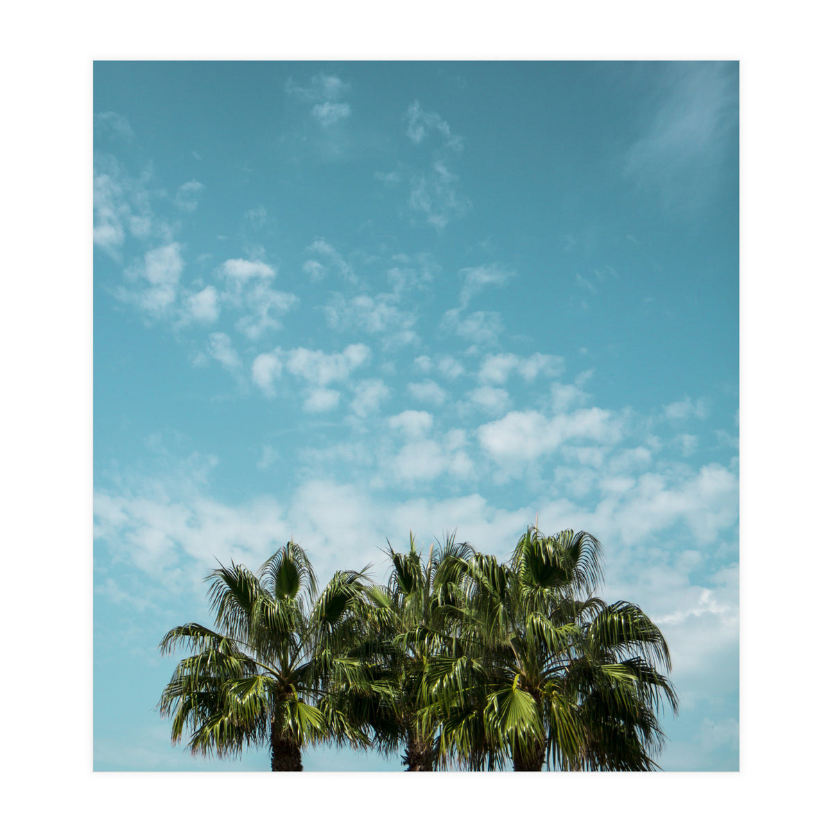 Good vibes. Landscape (Print Only)