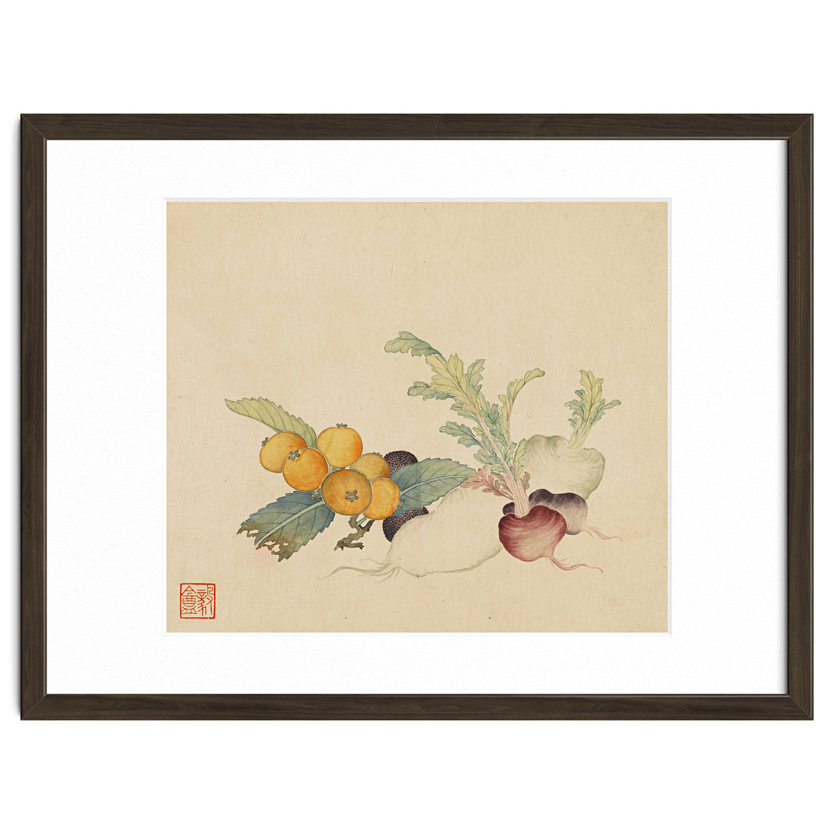 Wang Chengpi~flowers And Vegetables, Vegetables, Fruits, Loquat, White Radish, Carrot, Radish