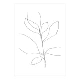 Seven Leaf Plant (Print Only) thumbnail