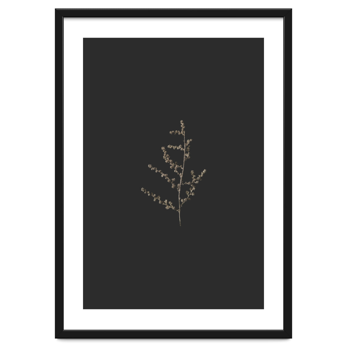 Dainty Botanicals in Gold and Black