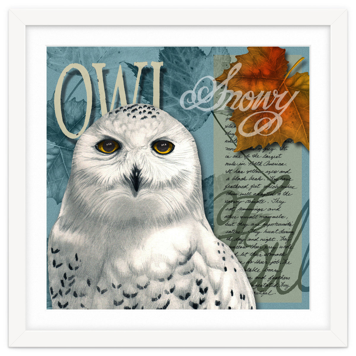 Snow Owl