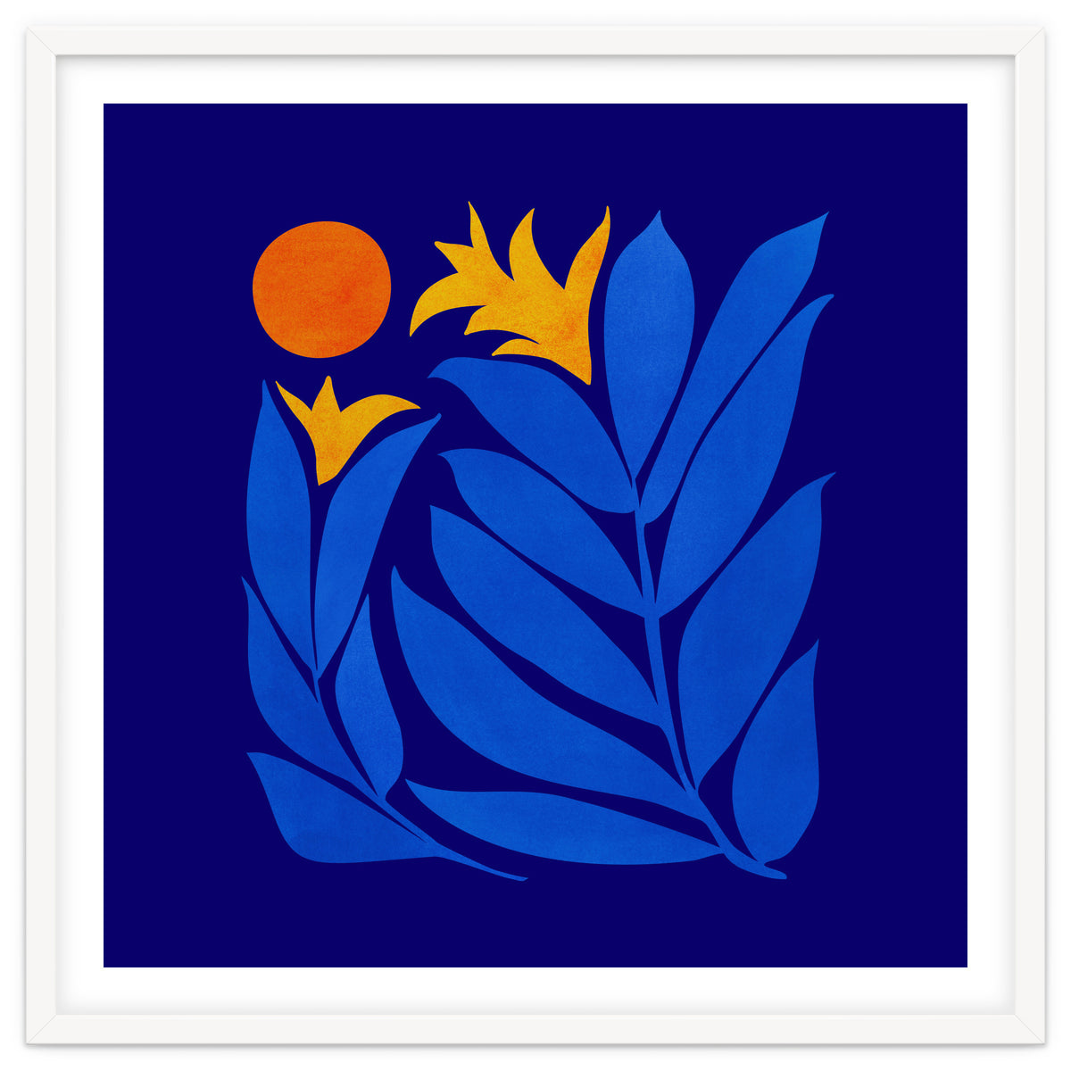 Community Garden At Night