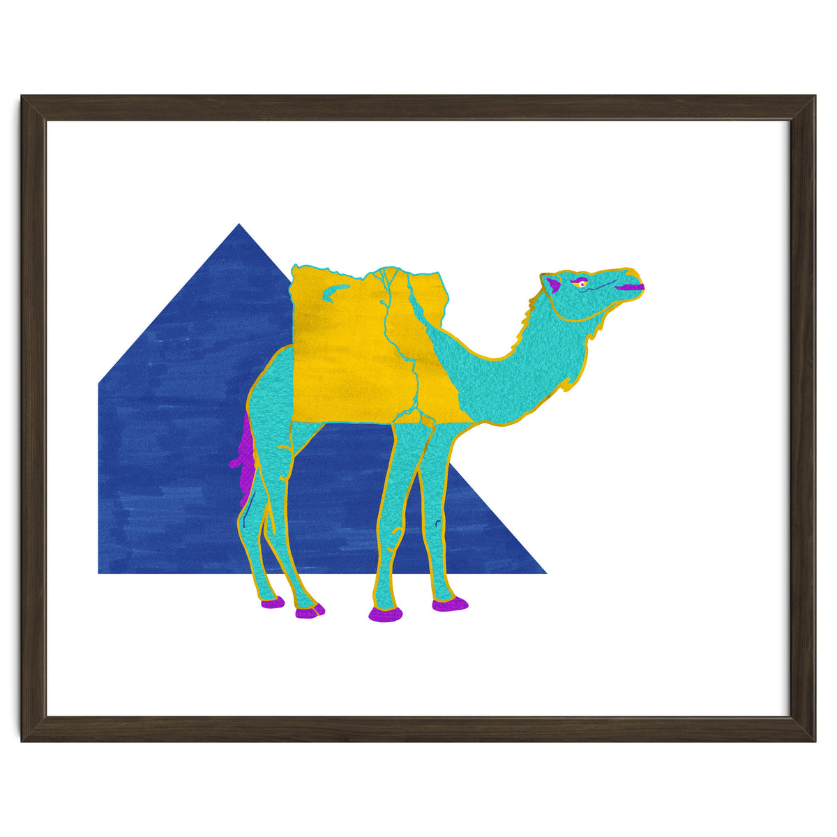 Egyptian Dromedary