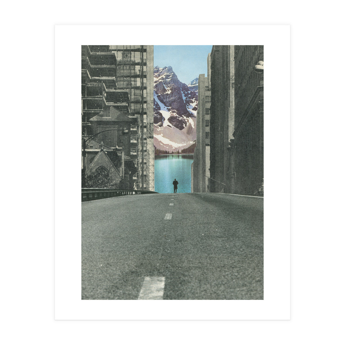 Into The Wild (Print Only)