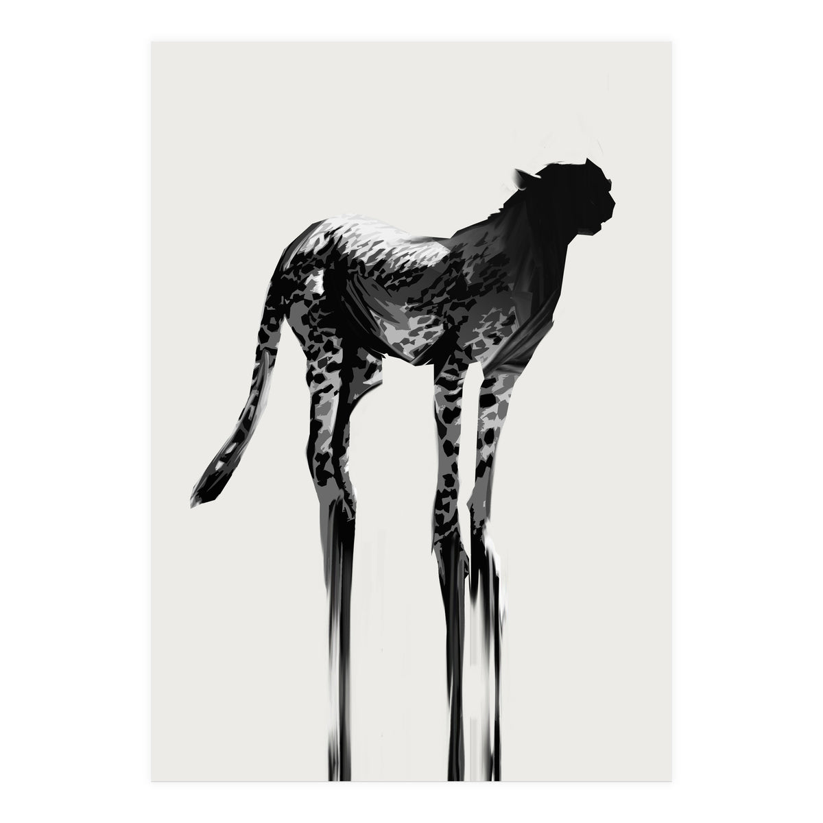 Cheetah  (Print Only)