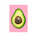 Hedgehocado (Print Only) thumbnail