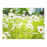 Flowers (Print Only) thumbnail