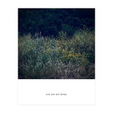 you are not alone - Nature Photography (Print Only) thumbnail