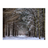 Dog Walkers in the Snow.  Heath Warren - Hampshire (Print Only) thumbnail