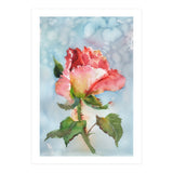 Beautiful Rose Watercolor (Print Only) thumbnail