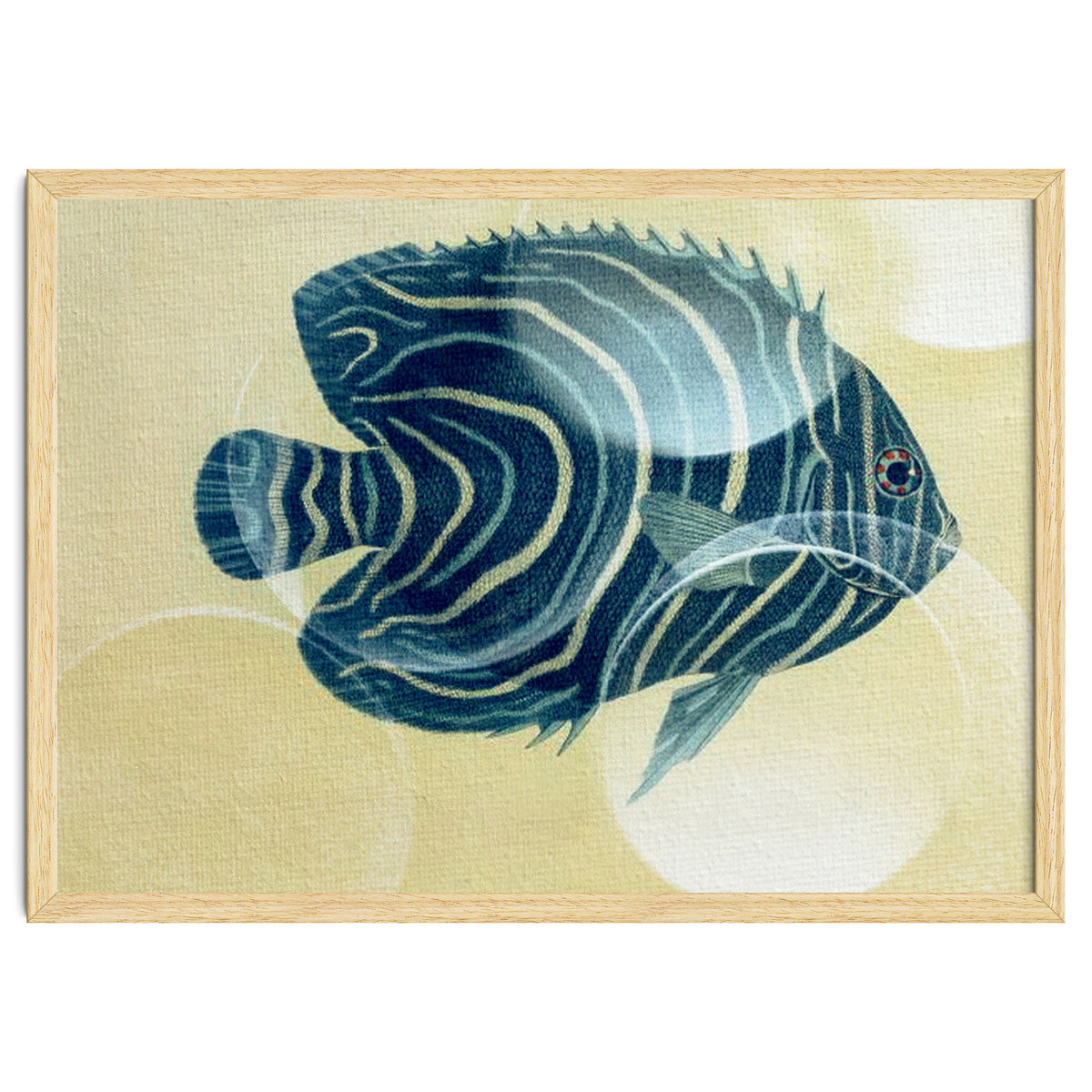 Fish Between Circles