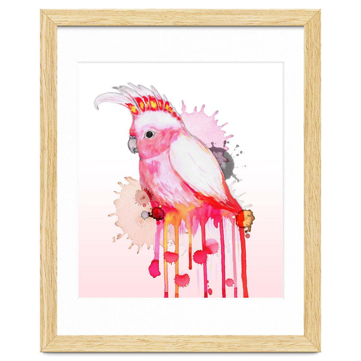 Major Mitchell's cockatoo