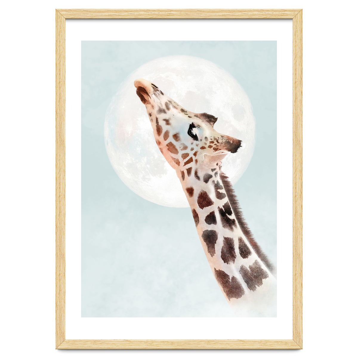 Giraffe And Moon