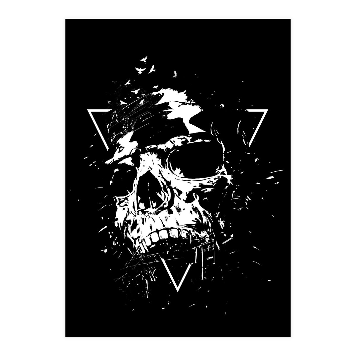 Skull X (Bw) (Print Only)