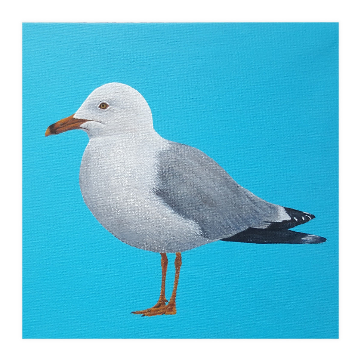 Seagull (Print Only)