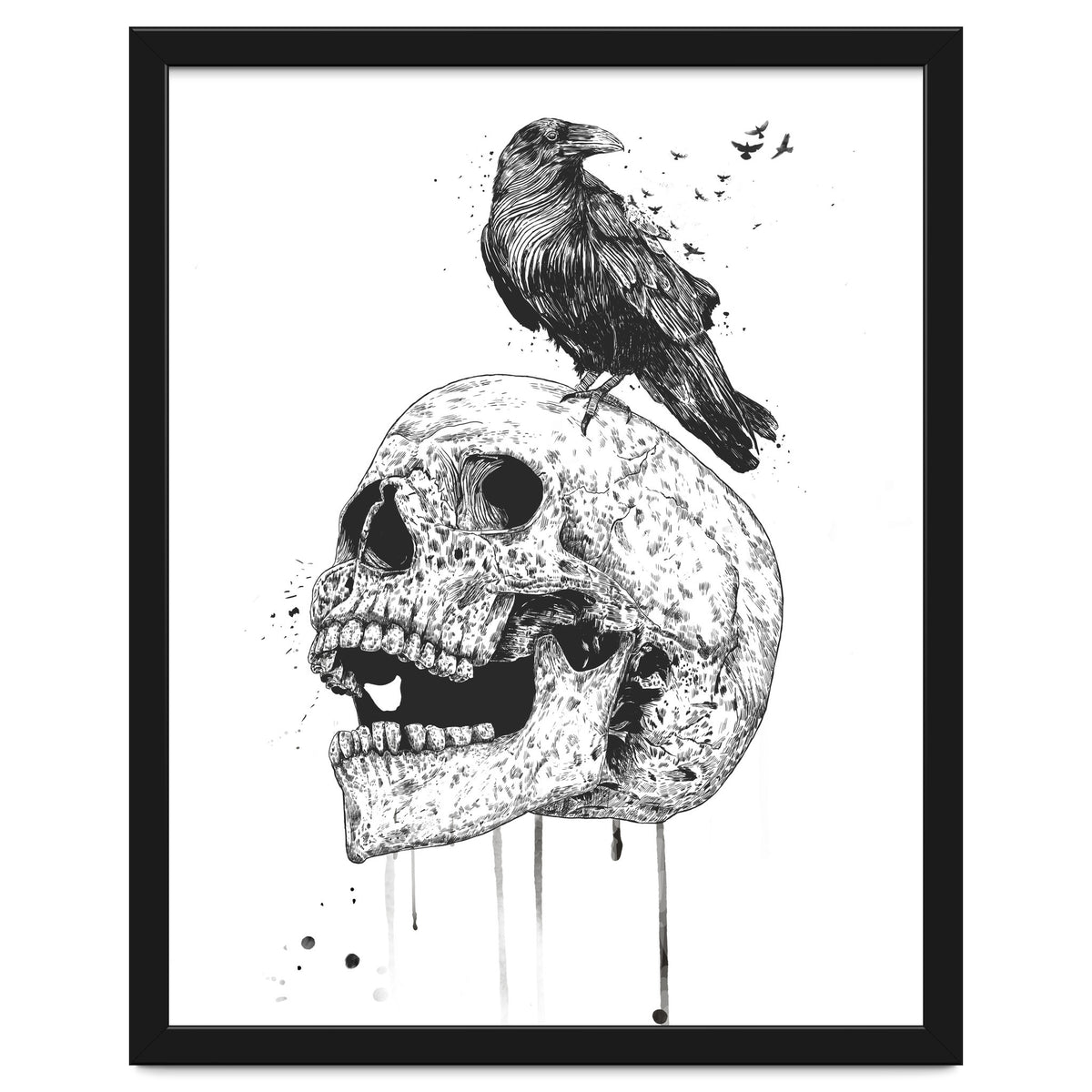 New Skull (bw)