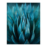 Blue Succulent (Print Only) thumbnail