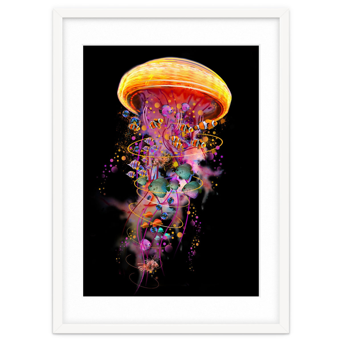 Jelly Fish Ride Summer2018 Dbh