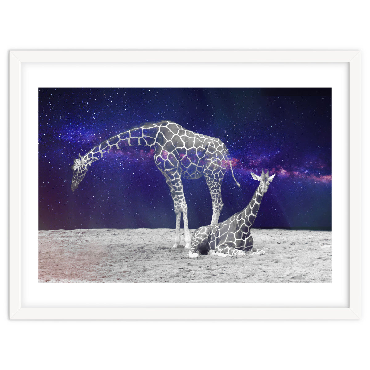Giraffes on The Moon