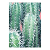 Cactus Up Close (Print Only) thumbnail