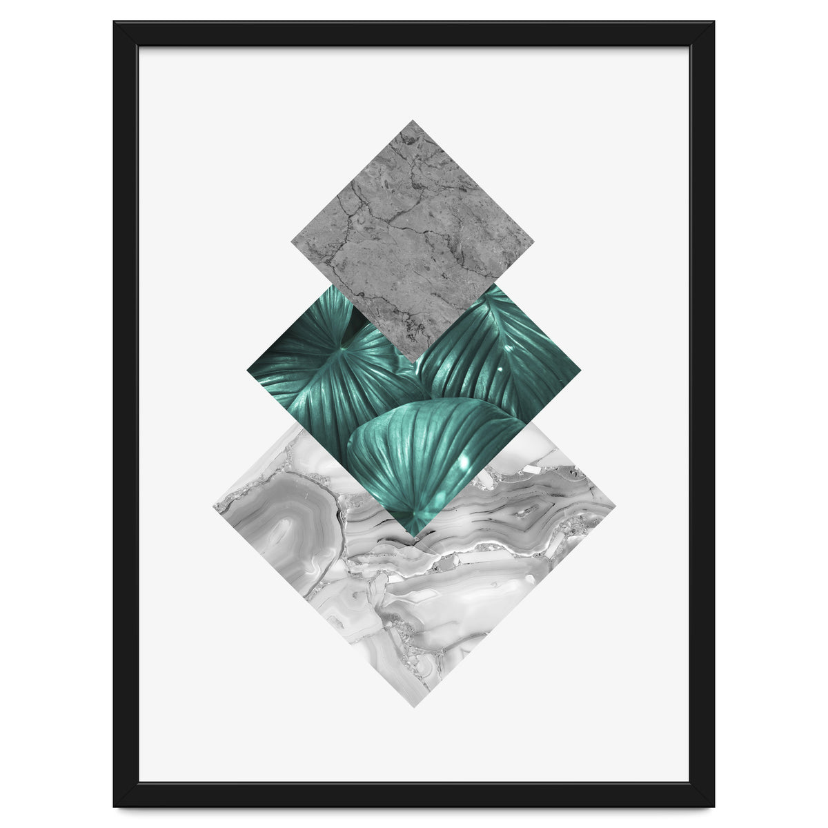 Botanical and geometric V