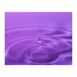 Nature (Print Only) thumbnail