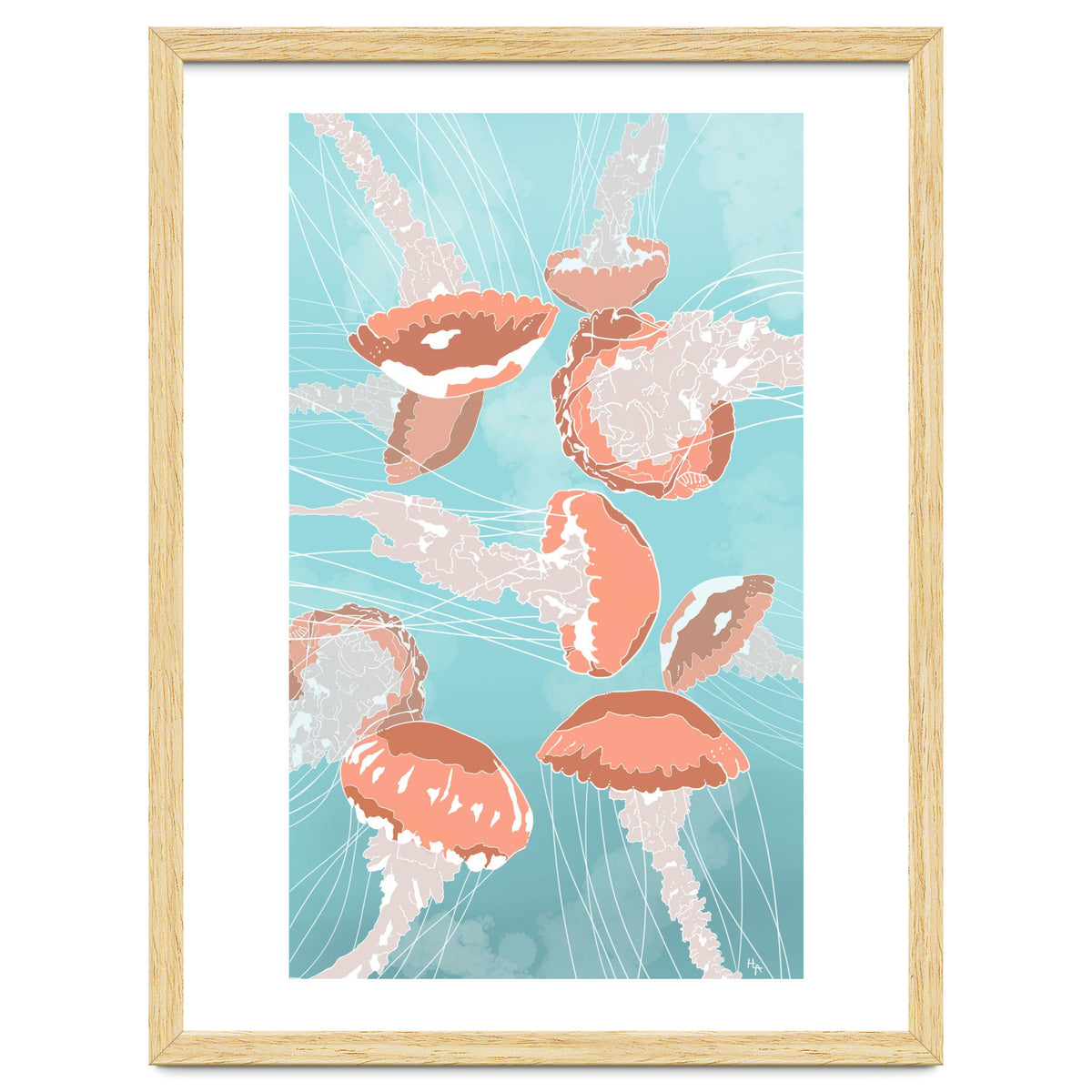 Jellyfish