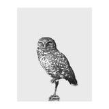 34 (Print Only) thumbnail