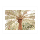Tropical Palm Tree (Print Only) thumbnail