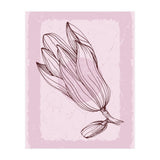 Magnolia - Minimalist Garden Leaves (Print Only) thumbnail