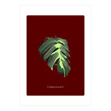 Predator (Print Only) thumbnail