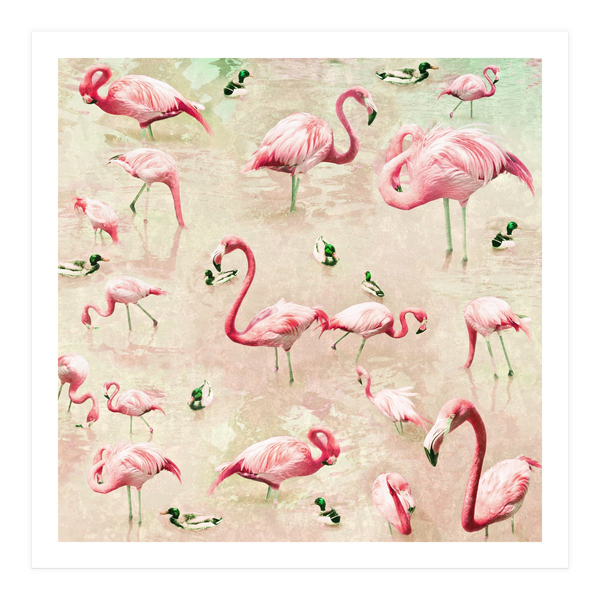 Flamingos Vintage Pink (Print Only)