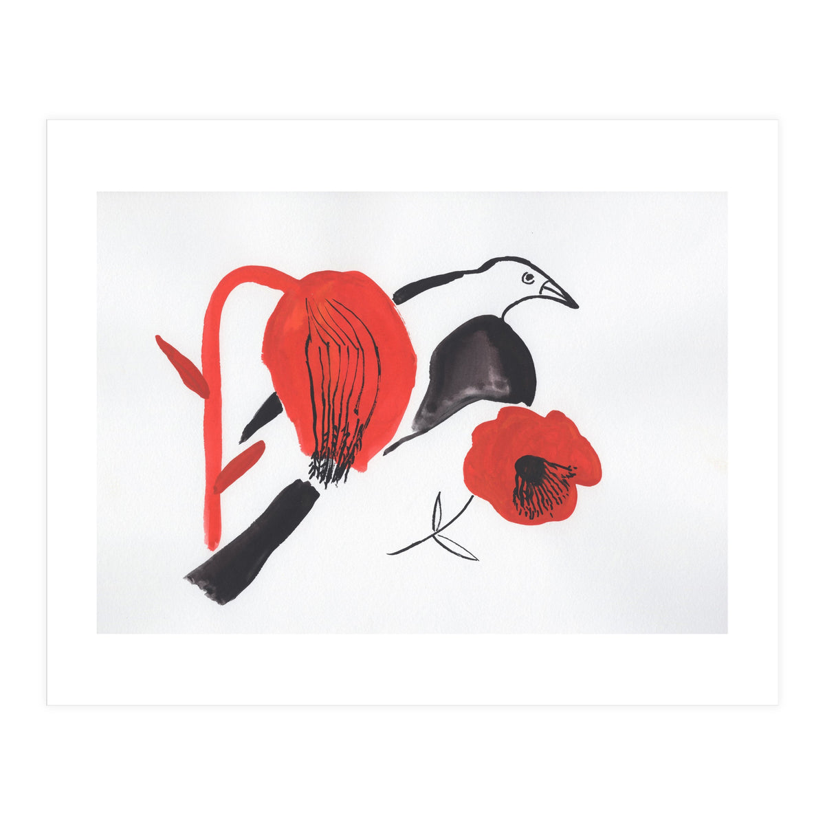 Black Bird And Poppies (Print Only)